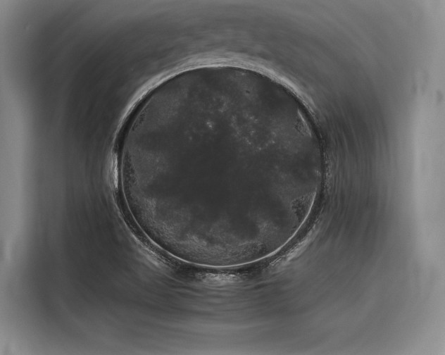 X0000116441509200912081546