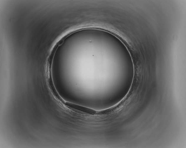 X0000116441510200912081546