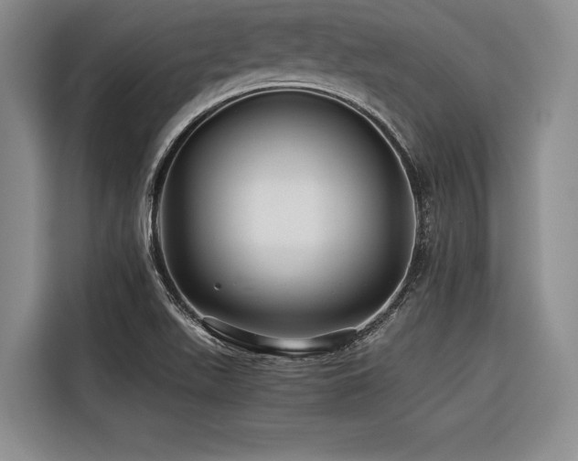 X0000116441511200912081546