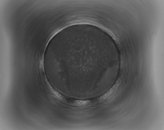 X0000116441513200912081546