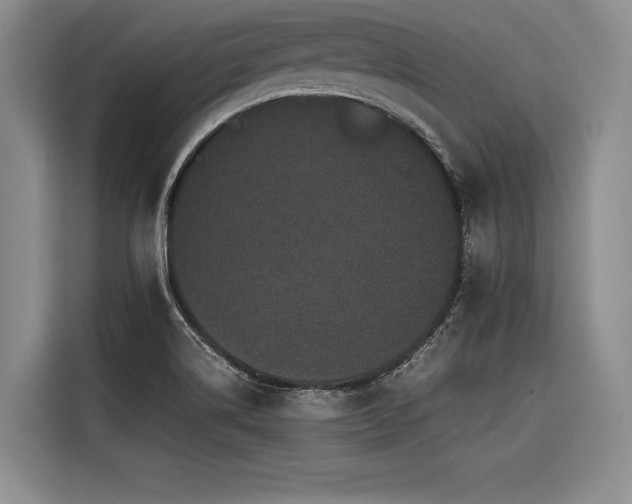 X0000116441514200912081546