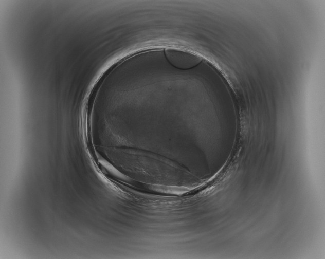 X0000116441515200912081546