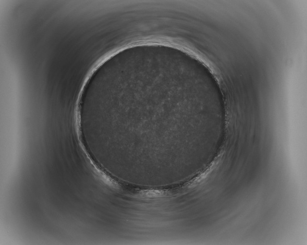 X0000116441517200912081546