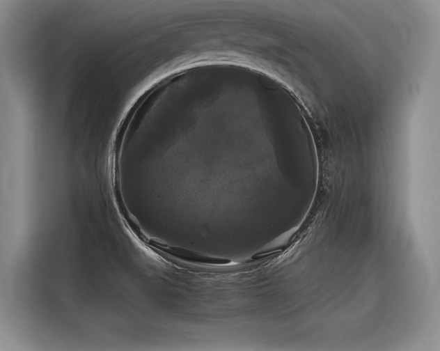 X0000116441519200912081546