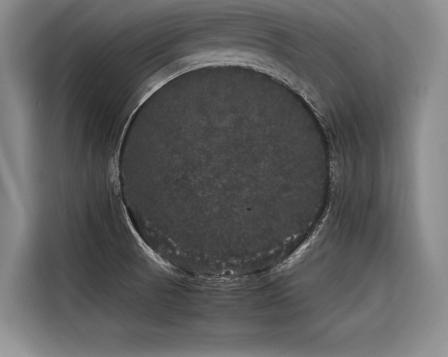X0000116441521200912081546
