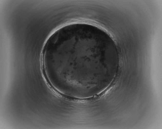 X0000116441522200912081546