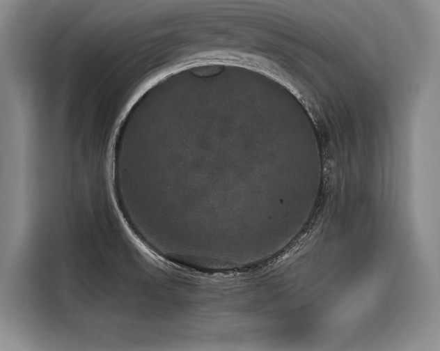 X0000116441523200912081546