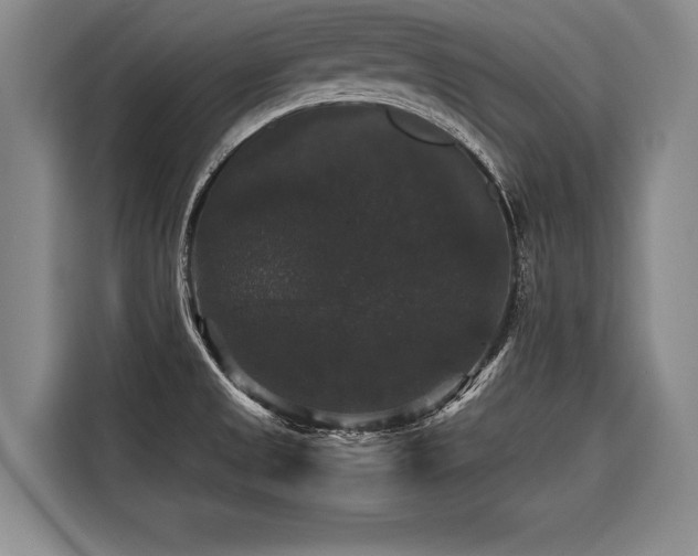X0000116441525200912081546