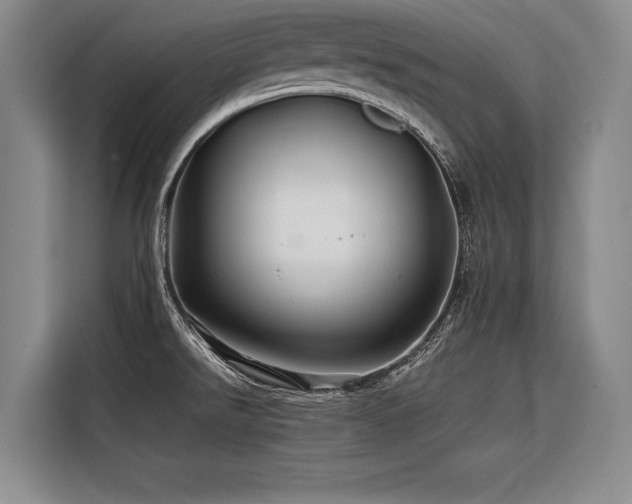X0000116441526200912081546