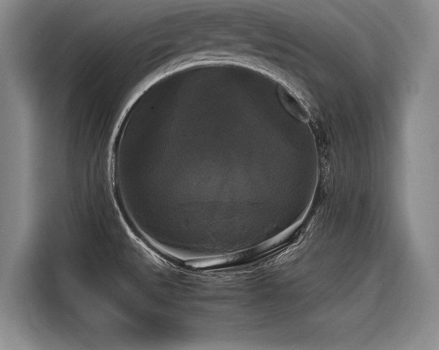 X0000116441527200912081546