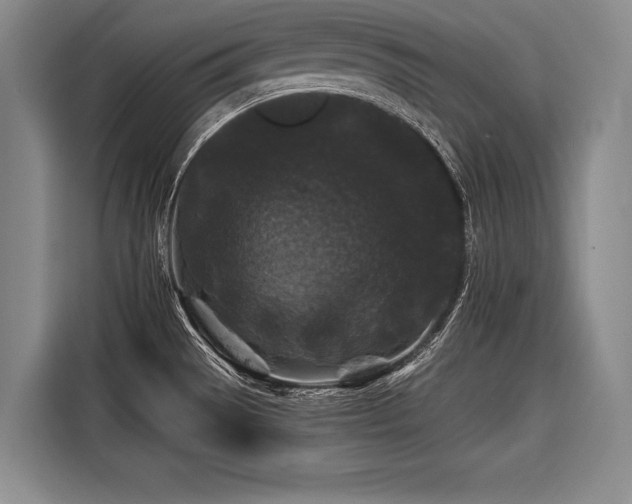 X0000116441529200912081546