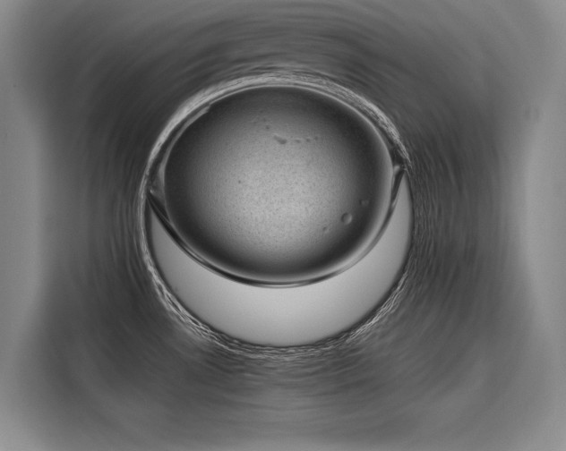 X0000116441530200912081546