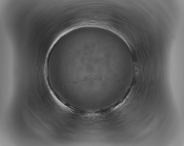X0000116441531200912081546