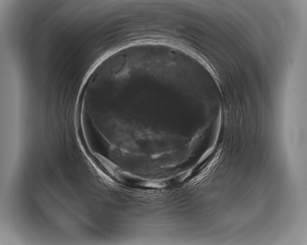 X0000116441533200912081546