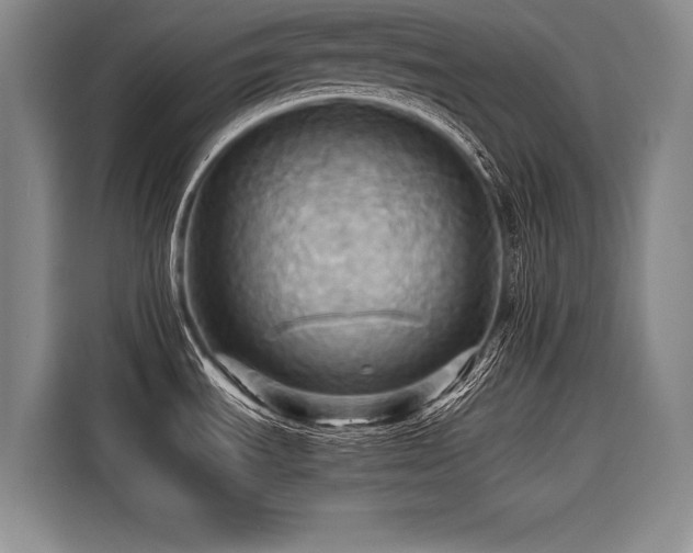 X0000116441535200912081546