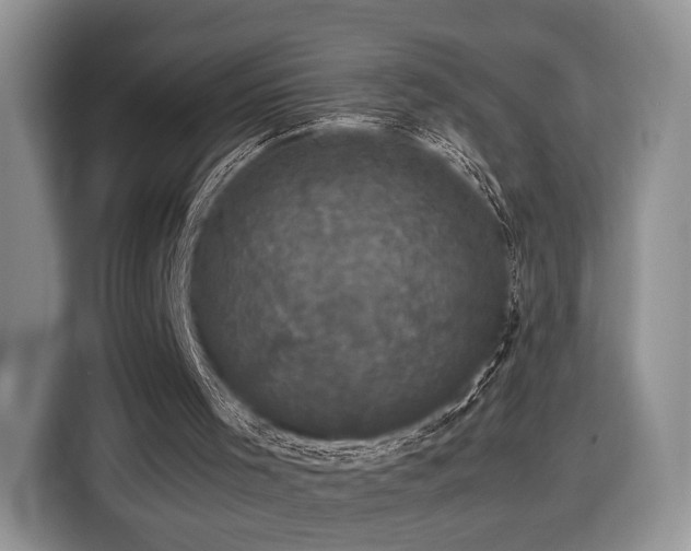 X0000116440001200912151249