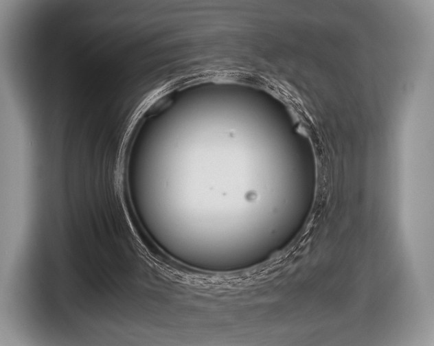 X0000116440003200912151249