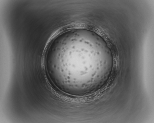 X0000116440004200912151249