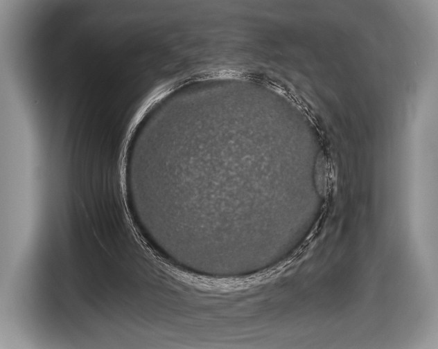 X0000116440006200912151249