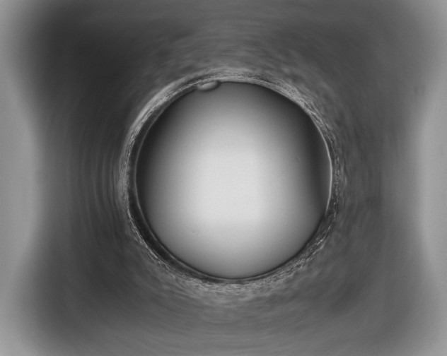 X0000116440007200912151249