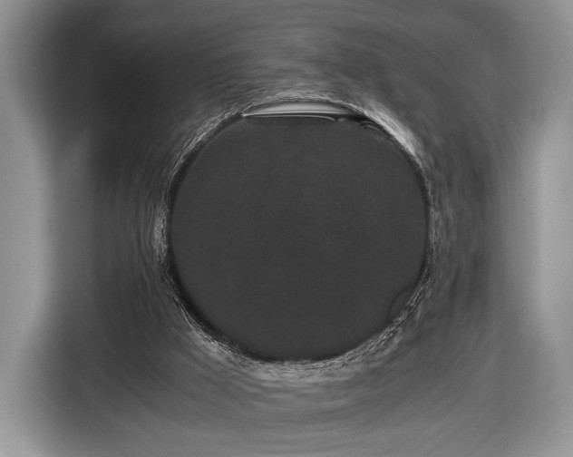 X0000116440009200912151249