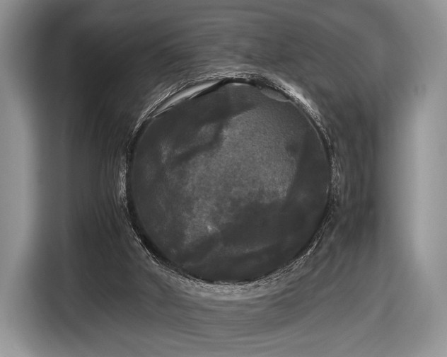 X0000116440010200912151249