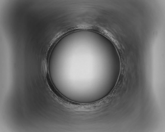 X0000116440011200912151249