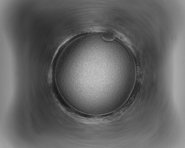 X0000116440012200912151249