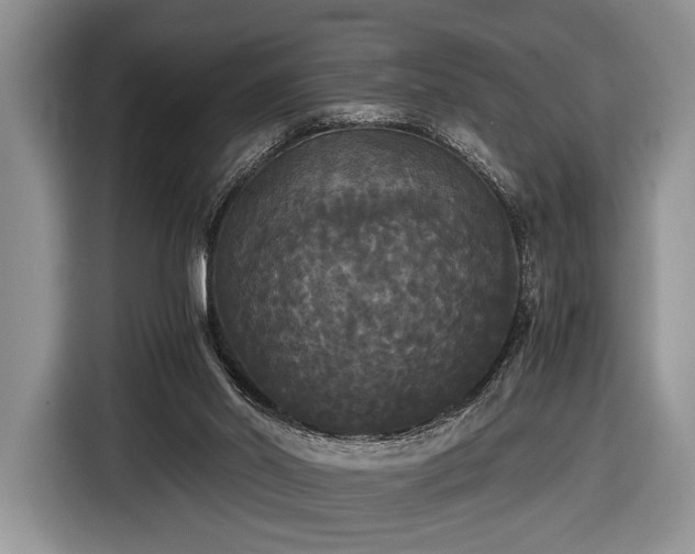 X0000116440014200912151249