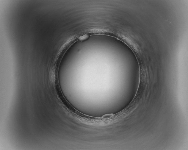 X0000116440015200912151249