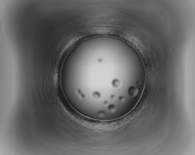 X0000116440016200912151249