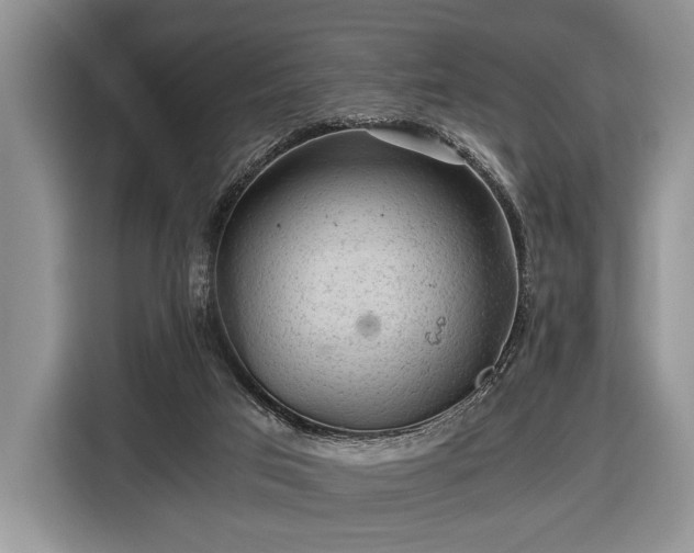 X0000116440017200912151249