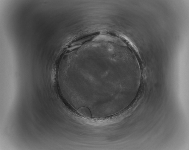X0000116440018200912151249