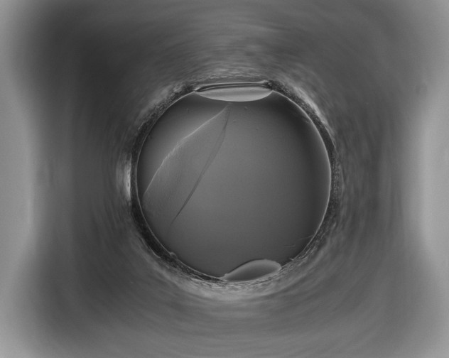 X0000116440019200912151249