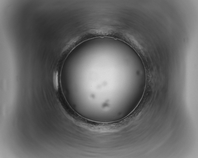 X0000116440020200912151249