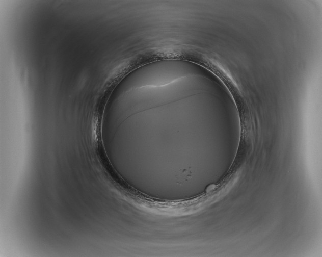 X0000116440023200912151249