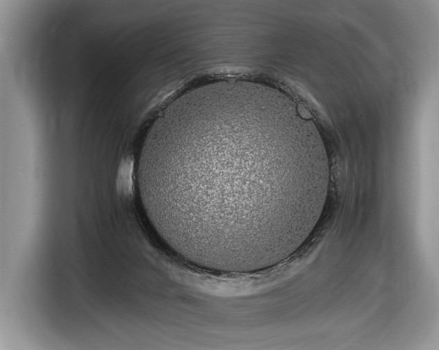X0000116440024200912151249