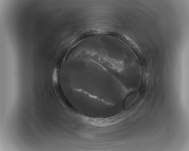 X0000116440026200912151249