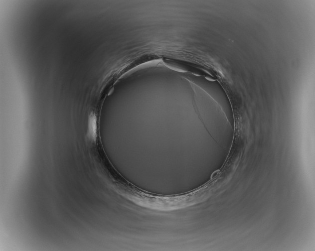 X0000116440027200912151249