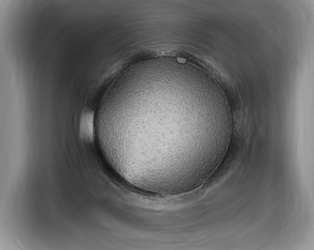 X0000116440028200912151249