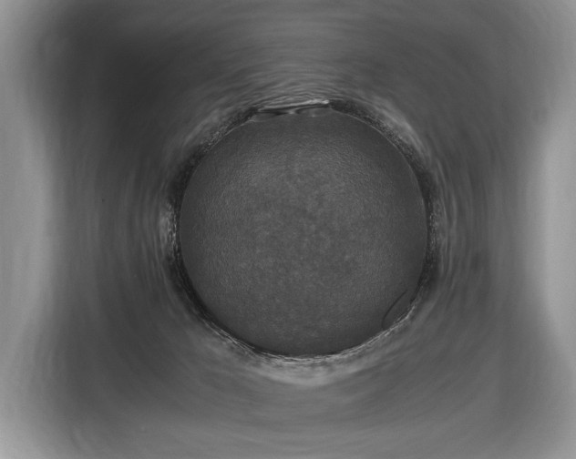X0000116440029200912151249