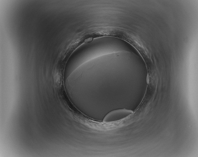 X0000116440031200912151249