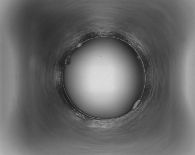 X0000116440033200912151249