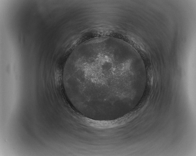 X0000116440034200912151249