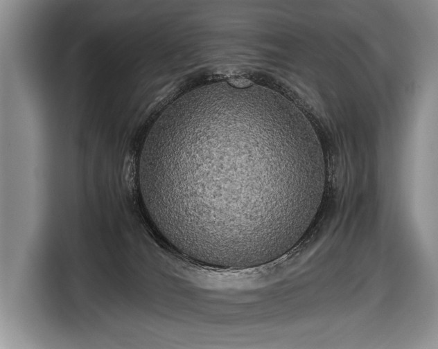 X0000116440036200912151249