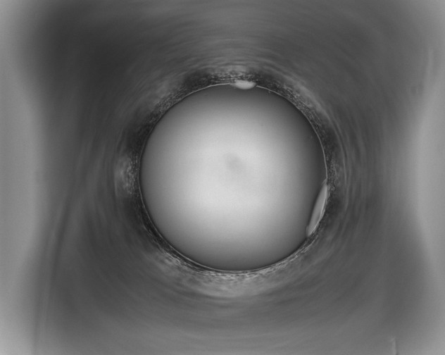 X0000116440037200912151249