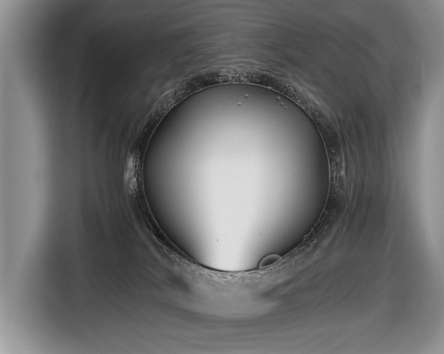 X0000116440038200912151249