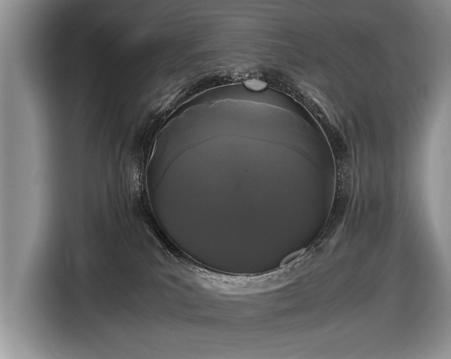 X0000116440039200912151249