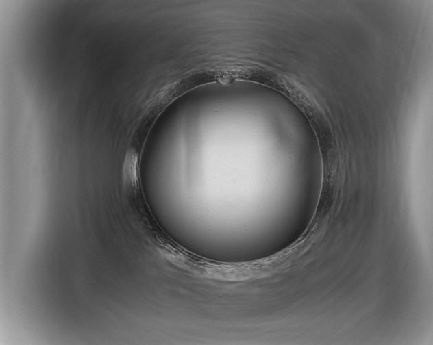 X0000116440041200912151249