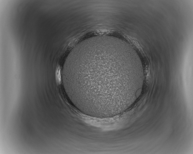 X0000116440042200912151249